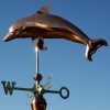 Windwijzer dolfijn